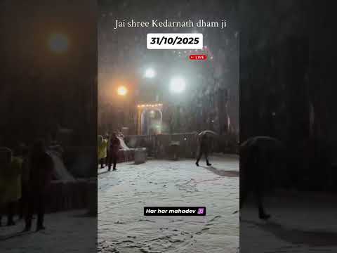 संसार की सबसे सुकून वाली जगह #kedarnath #baba #bholenath #shorts #kedarnathtemple