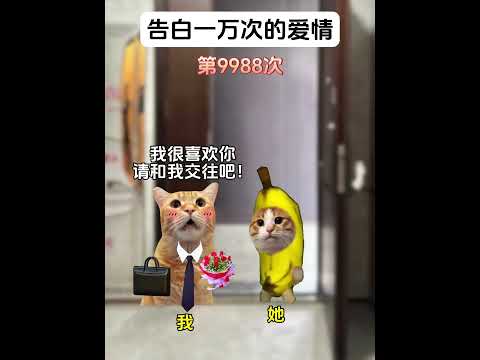 猫の動画サムネイル - 告白一万次的爱情 #猫meme #猫meme剧场 #猫meme小剧场 #内容过于真实  #故事 #貓 #猫猫meme小剧场 #喵不可言
