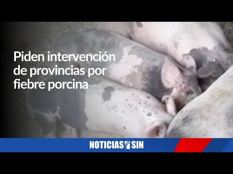 #SINFinDeSemana: Exfuncionario, muerte y gobierno