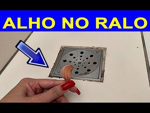 COLOQUE 1 ALHO no RALO do BANHEIRO Antes de Dormir e Pela Manhã VOCÊ VAI FICAR CHOCADO