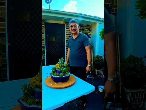 How to make Succulent Arrangement  #succulentslover