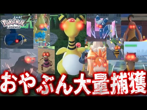 #16【おやぶんポケモン大量捕獲作戦】新しいワイルドゾーンのポケモンを集めまくるぞ！【ポケットモンスターZA実況】