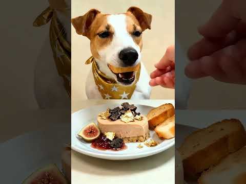 This dog eats better than I do 3