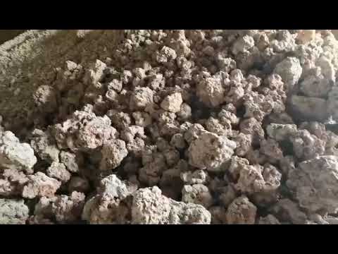 video4