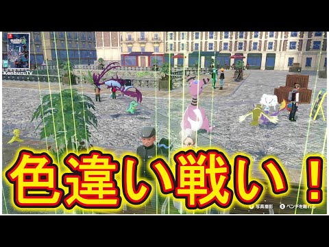 【#ポケモンレジェンズZA】ひかおまゲット!オヤブン色違いタイレーツとシビルドンゲット!色違いチームでランクマやっていこうライブ配信!