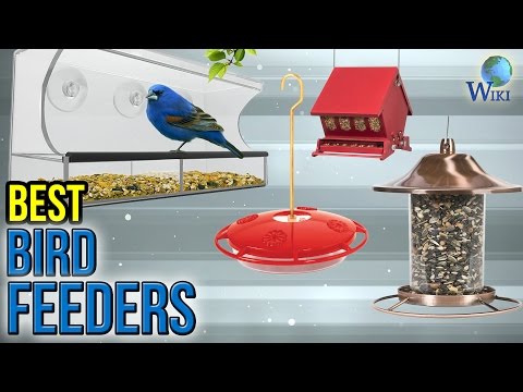 10 Best Bird Feeders 2017 - UCXAHpX2xDhmjqtA-ANgsGmw