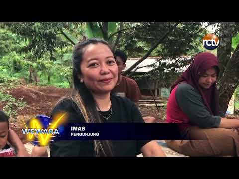 Nikmati Sensasi Makan Durian Langsung dari Pohonnya