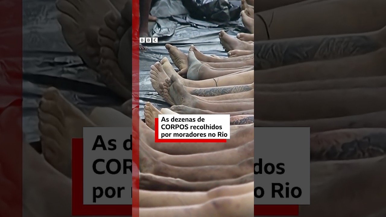 🚨 As dezenas de corpos que moradores do RJ resgataram  TV Online 🚨 As dezenas de corpos que moradores do RJ resgataram