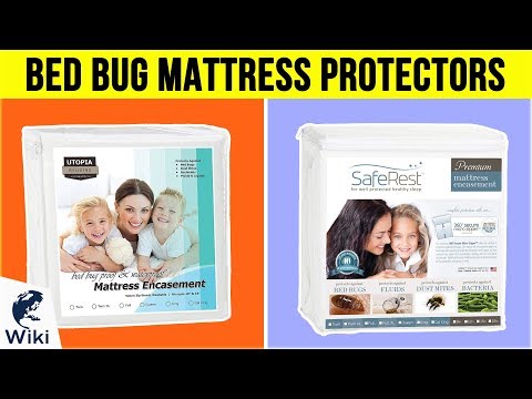 10 Best Bed Bug Mattress Protectors 2019 - UCXAHpX2xDhmjqtA-ANgsGmw