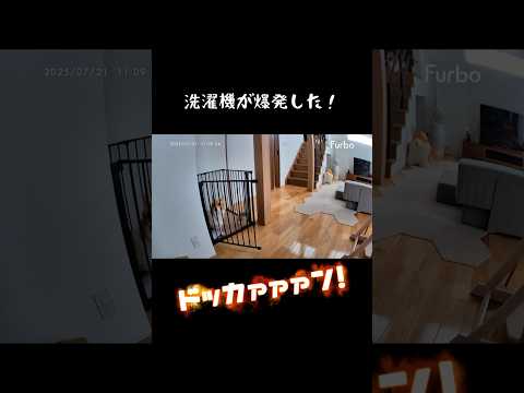 洗濯機が爆発しました💣🤯