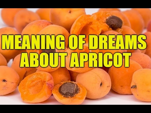 What Does It Mean To Dream About Apricots?