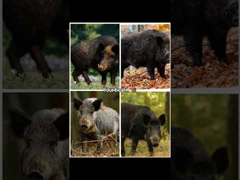 Agree kny fans ~pt 3 #anime #demonslayer #kny #fyp #edit #muzan #tanjiro #kanao #shinobu #akaza