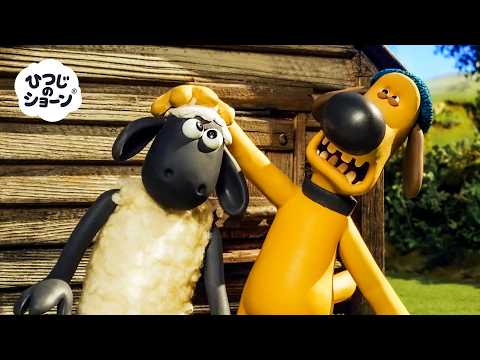 たいへん！🤭 また たいへんなことに なっちゃった！🐑😳🤣✨  | ひつじのショーン 公式チャンネル