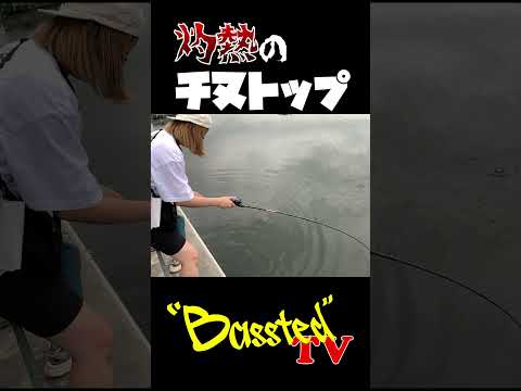 灼熱のチヌトップ