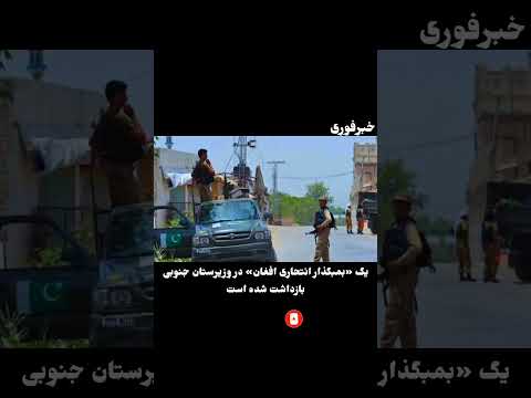 بمبگذار انتحاری افغان بازداشت شده است!