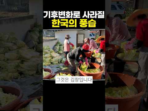 기후변화로 사라질 한국의 풍습