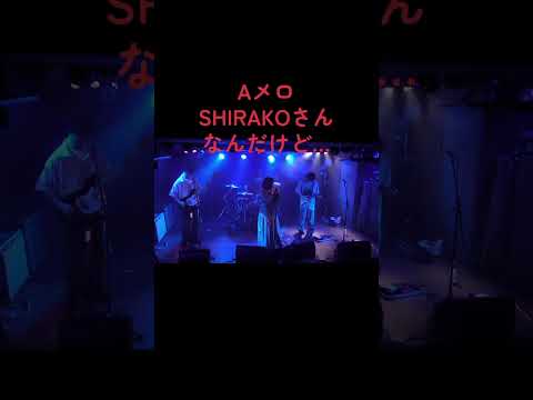 とっても楽しいバンド生命引力 #インディーズ #ライブ #バンド #邦ロック
