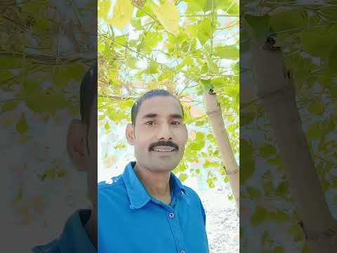 is pyar Se Meri taraf Na Dekho 💁❤️💖🌹 #hindisong #love #song