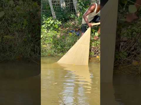 Fishing video#fishing #fishingvideo #fish