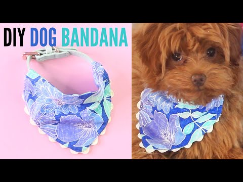 Free Dog Bandana Pattern DIY