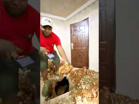 Ou wè jan on Nèg egare