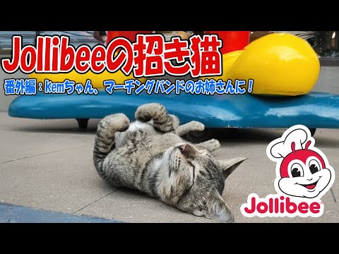 フィリピンのジョリビーには、看板猫がいるらしい…