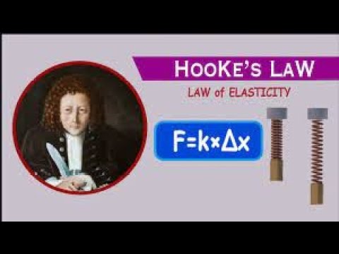 Hooke's Law: S.2 Physics Lesson