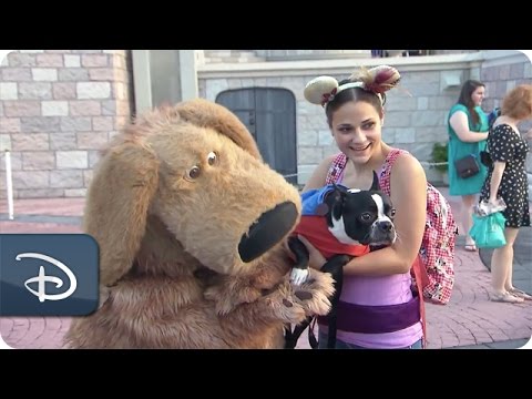 Dog’s Day at Magic Kingdom Park | Walt Disney World - UC1xwwLwm6WSMbUn_Tp597hQ