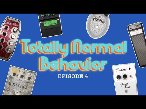 Totally Normal Behavior: Episode 4