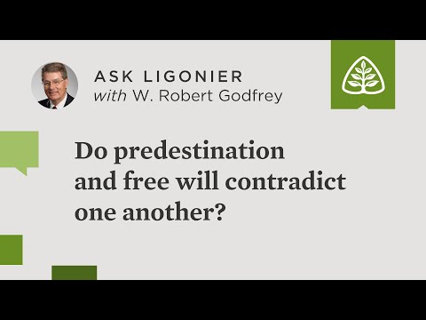 Do predestination and free will contradict one another?