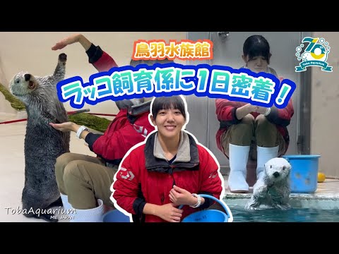 《鳥羽水族館 開館70周年記念動画》飼育係に1日密着!~ラッコチーム編~