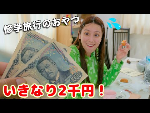 いきなり2千円で修学旅行のおやつ！大量のお菓子！どんなの買った？【修学旅行】