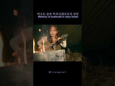 비오는 숲속 부쉬크래프트  #솔로캠핑 #부쉬크래프트 #camping
