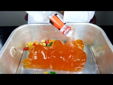 World Largest Gummy Bear Shots! - UCe_vXdMrHHseZ_esYUskSBw