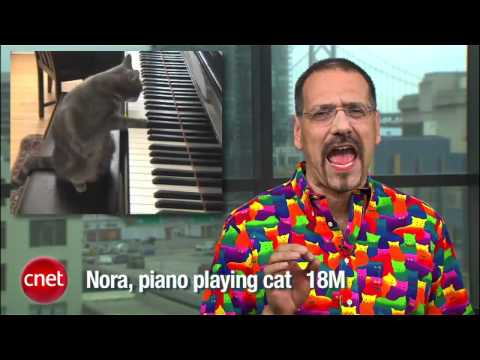 CNET Top 5 Cat Videos - UCOmcA3f_RrH6b9NmcNa4tdg