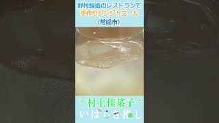 【番外編】いばらき推し「酒蔵直営フレンチレストランBRASSERIE JOZO（常総市）」#shorts