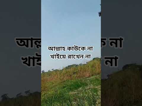 আল্লাহ কাউকে না খাইয়ে রাখেন না#shorts #shortsvideo #islam #foryou