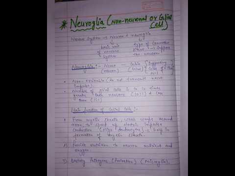 Neuroglia|types of neuroglia|classification of nerve cells#humananatomyandphysiology#notes#pharmacy