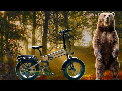CLICK TO WIN Bolton Ebikes Reviews the $1,799 Fat Bear 750s