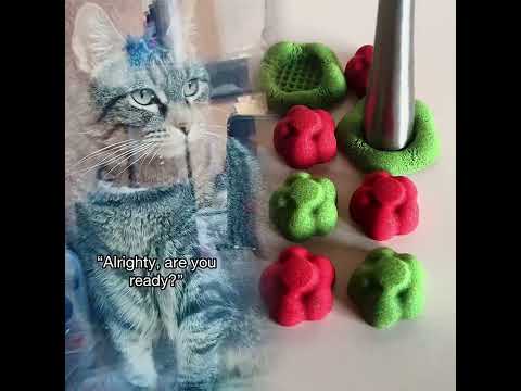 #pov#cat#catfunny#humor#funny#viral