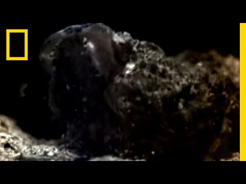 Deadly Stone Fish | National Geographic - UCpVm7bg6pXKo1Pr6k5kxG9A