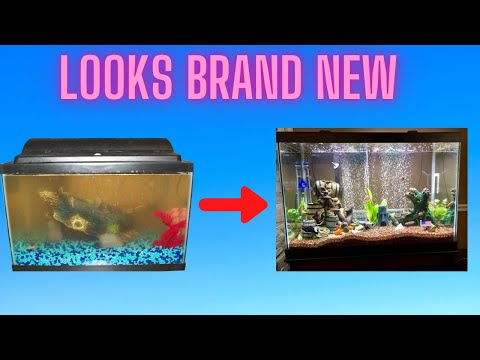 How To Deep *Clean* Any Size Aquarium ----------------------------------------------------------------------------------------------------