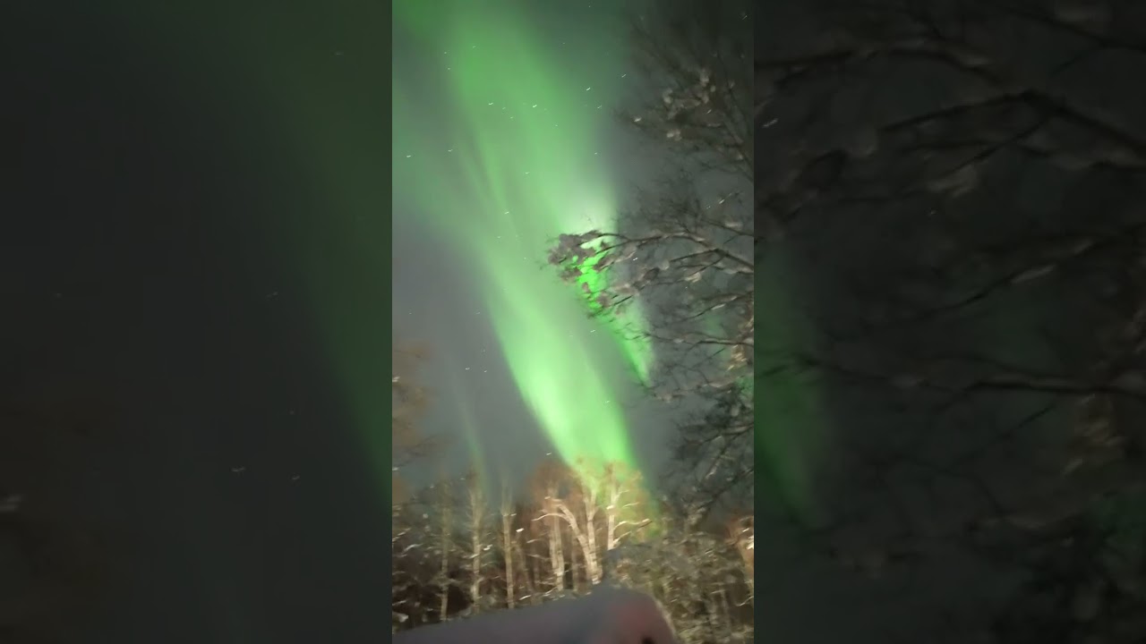 Alaska man can see the Northern Lights from his doorstep #shorts | New York Post