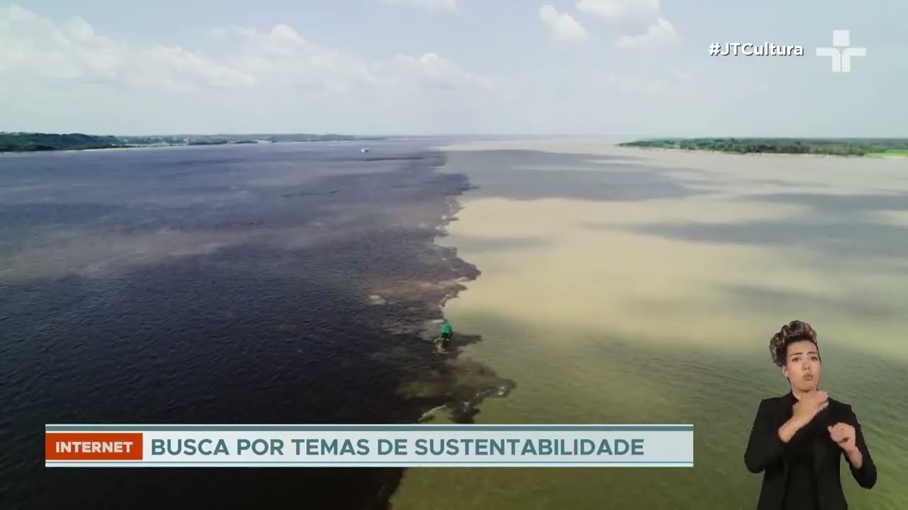 Internet reflete o clima buscas pelo termo ecoansiedade disparam com mudanças climáticas