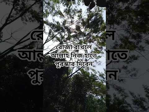 রোজা রাখার পুরস্কার কি#shorts #shortsviral #shortsvideo #islam #foryou