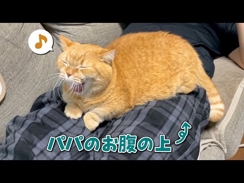 とんでもない場所をベッドにしてしまった甘えん坊猫の結末がこちら…！