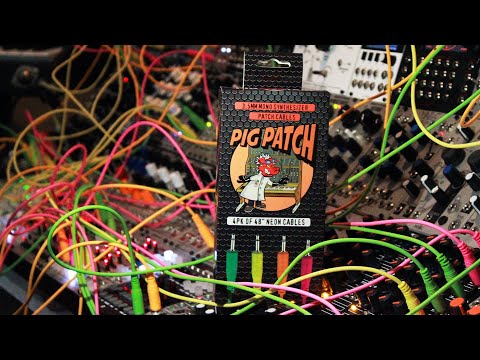 Pig Hog Mono Synth Patch Cables