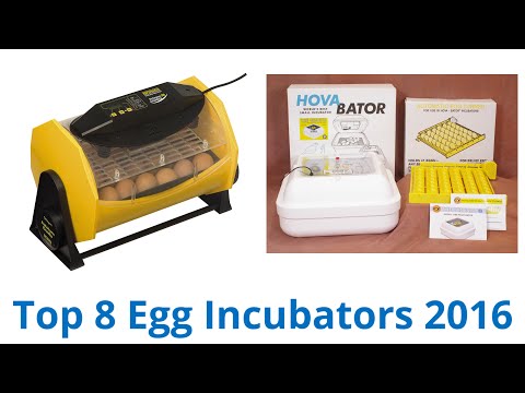 8 Best Egg Incubators 2016 - UCXAHpX2xDhmjqtA-ANgsGmw