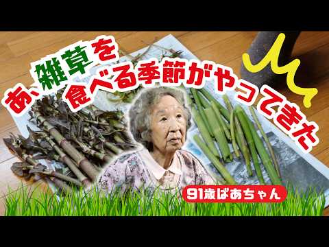 91歳ばあちゃん雑草を調理しだし衝撃を受ける。