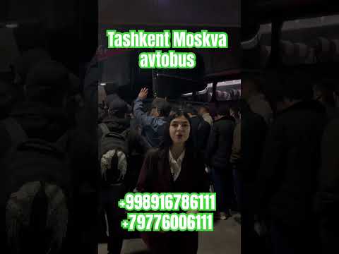 ташкент москва автобус #tashkent #moskva #avtobus #москва #shortvideo #shorts #
